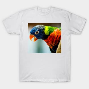 brazilian T-Shirt